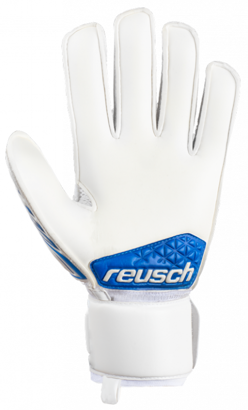 Reusch sg hot sale extra